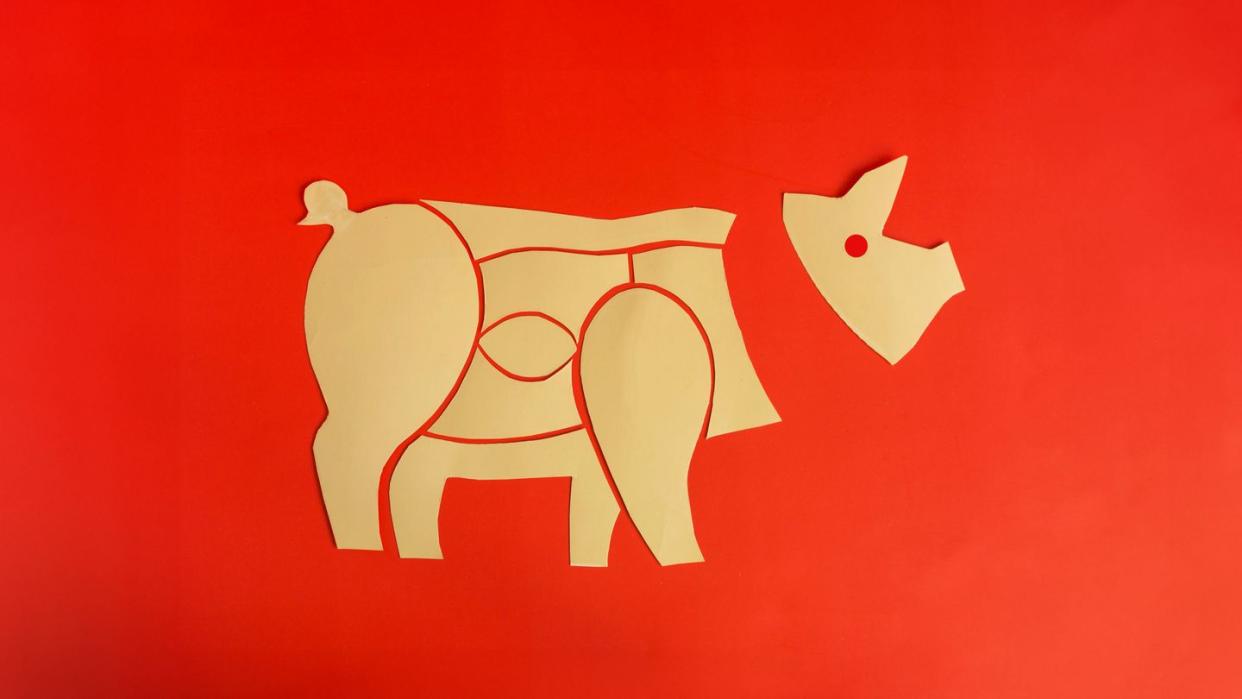 diagram of a pig carcass made of cardboard on a colored background close up