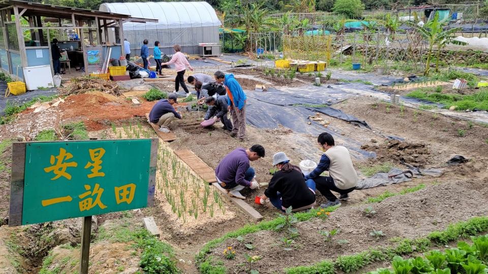 「安星一畝田」裡，星兒學習種植菜蔬。(自閉症權益促進會提供)