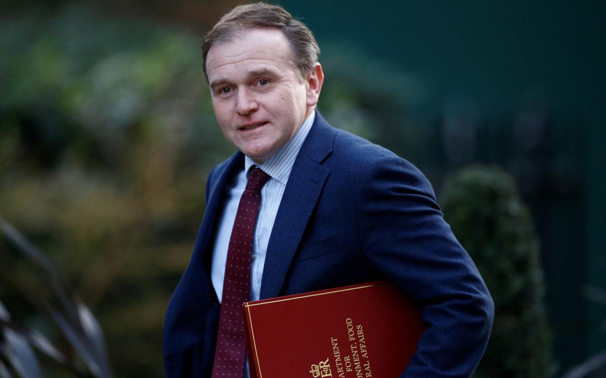 The proposal represents a victory for George Eustice, the Environment Secretary - Henry Nicholls/Reuters