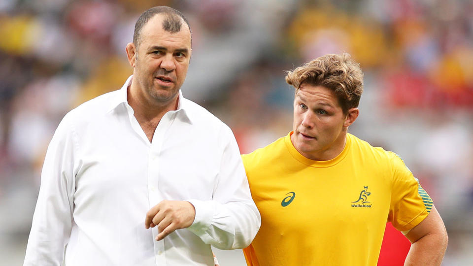 Pictured here, former Wallabies coach Michael Cheika with captain Michael Hooper.