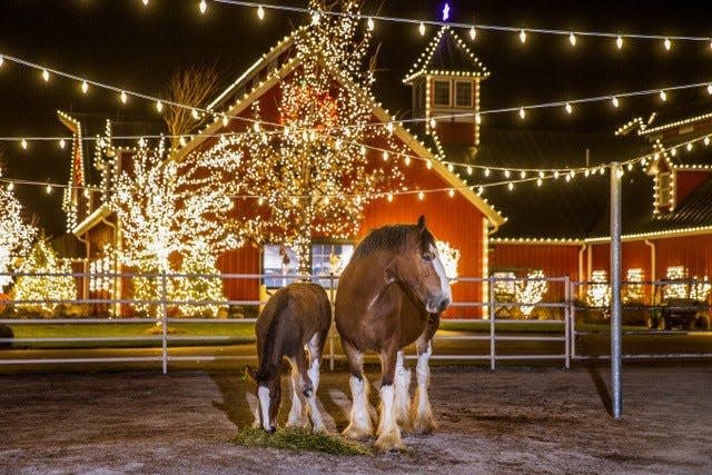 Warm Springs Ranch, home of future Budweiser Clydesdales, is a popular holiday destination in mid-Missouri.