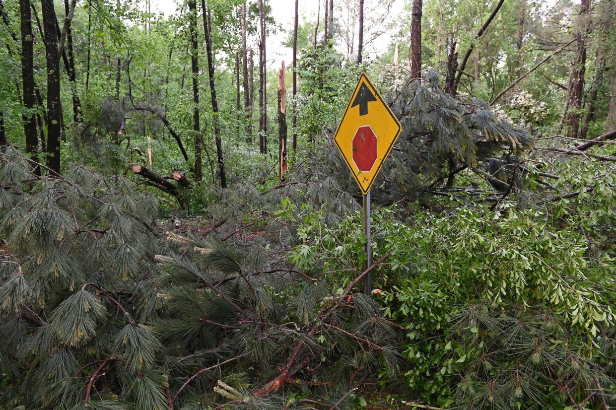 Downed trees cover Oakview Drive in Tupelo, Miss., Monday, May 3, 2021. A line of severe storms rolled through the state Sunday afternoon and into the nighttime hours. Late Sunday, a “tornado emergency” was declared for Tupelo and surrounding areas. 