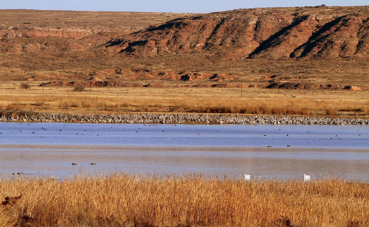 Bitter Lake National Wildlife Refuge