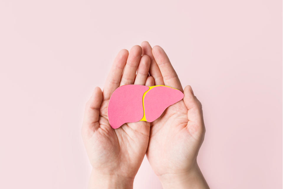 World hepatitis day. Adult hands holding donation liver on pink background. Awareness of prevention and treatment viral hepatitis. Liver cancer. World cancer day. copy space. banner.