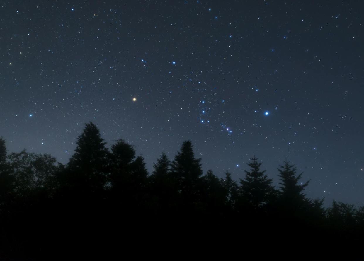 A favorite class focuses on the tendency to see meaningful patterns where there aren't any, such as constellations of stars. <a href="https://www.gettyimages.com/detail/photo/orion-and-stars-rising-over-a-dark-forest-royalty-free-image/1270725213" rel="nofollow noopener" target="_blank" data-ylk="slk:Yuga Kurita/Moment via Getty Images;elm:context_link;itc:0;sec:content-canvas" class="link ">Yuga Kurita/Moment via Getty Images</a>