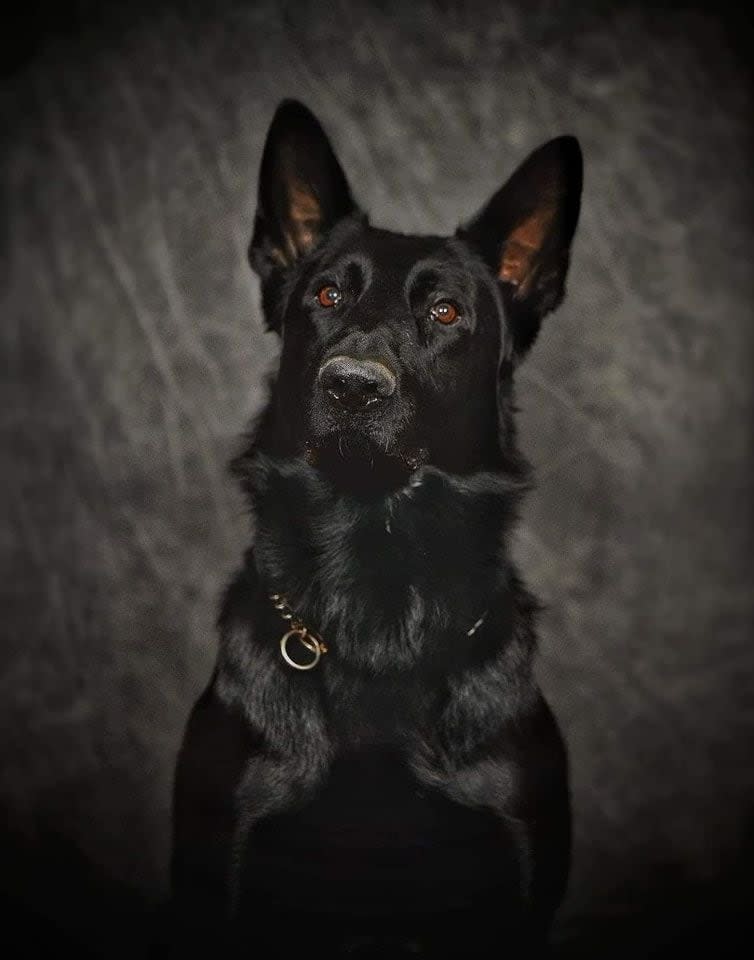 Officers from multiple departments gathered Monday to honor the life of K9 Officer Fury, who died in the line of duty over the weekend.