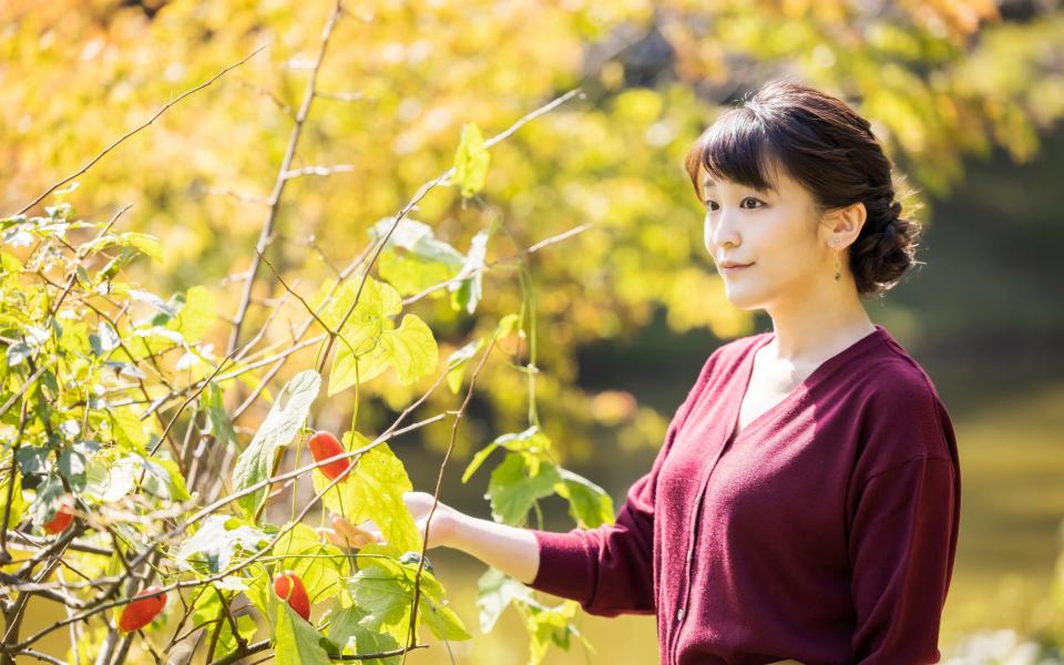 Princess Mako at the garden of the Akasaka Imperial residence in Tokyo last week, ahead of her wedding - AP