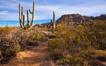 What keeps Scottsdale residents looking so good? It could be the abundant Vitamin D from its roughly 300 days of sunshine a year. Or possibly the hours spent walking in the McDowell Sonoran Preserve, which protects 30,000 acres of mountainous desert habitat. Then again, it could be the sheer volume of spas: more per capita than anywhere else in the United States. Whatever it is, its working, and Travel + Leisure readers have taken notice. Scottsdale also earns a perfect score for its plethora of luxury boutiques.