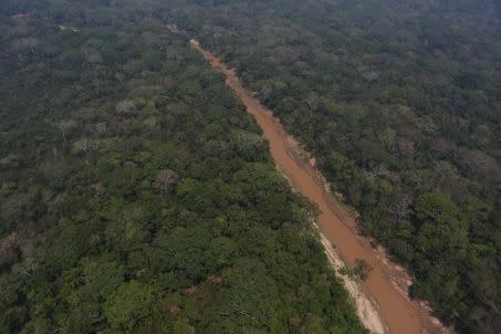 Végétation du bassin amazonien, région des Llanos de Mojos, en Bolivie Crédit : Heiko Prümers / DAI KAAK