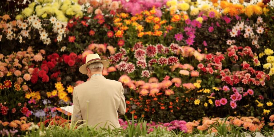 everything you need to know about the rhs hampton court palace garden festival 2023