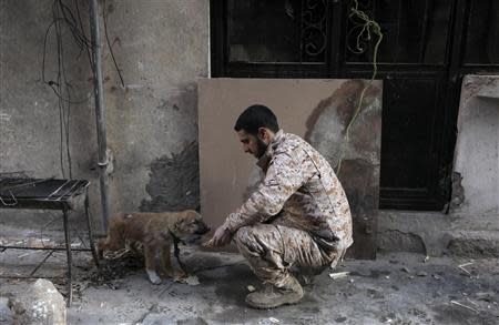 A Free Syrian Army fighter plays with a dog along a street in Deir al-Zor, eastern Syria, December 12, 2013. REUTERS/Khalil Ashawi