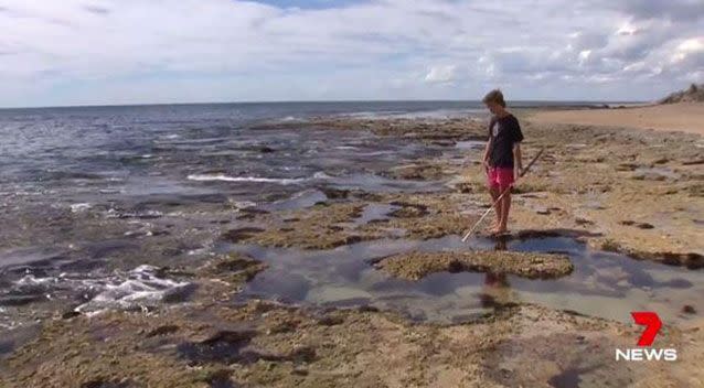 The teen believes the shark was chasing a fish he had just speared. Source: 7 News