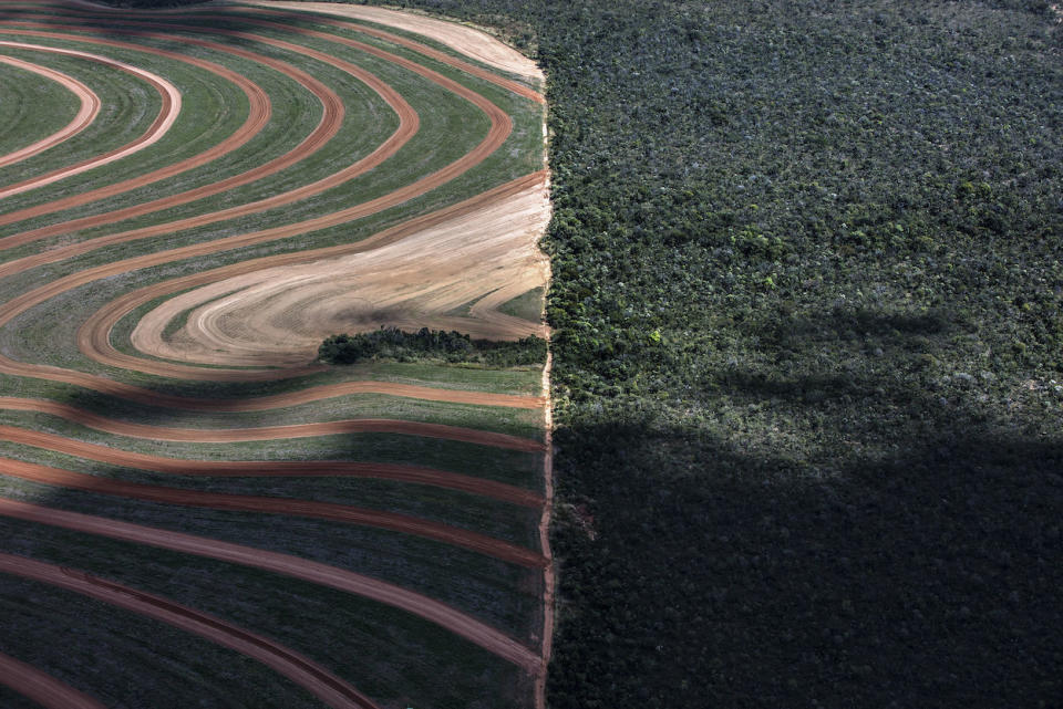 A deforested area in Matopiba in Brazil (Picture: PA)