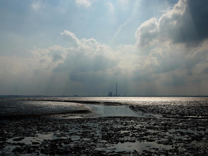 Über den Jadebusen geht der Blick nach Wilhelmshaven. Foto: Tourismusmarketing Niedersachsen/Michael Scharrer