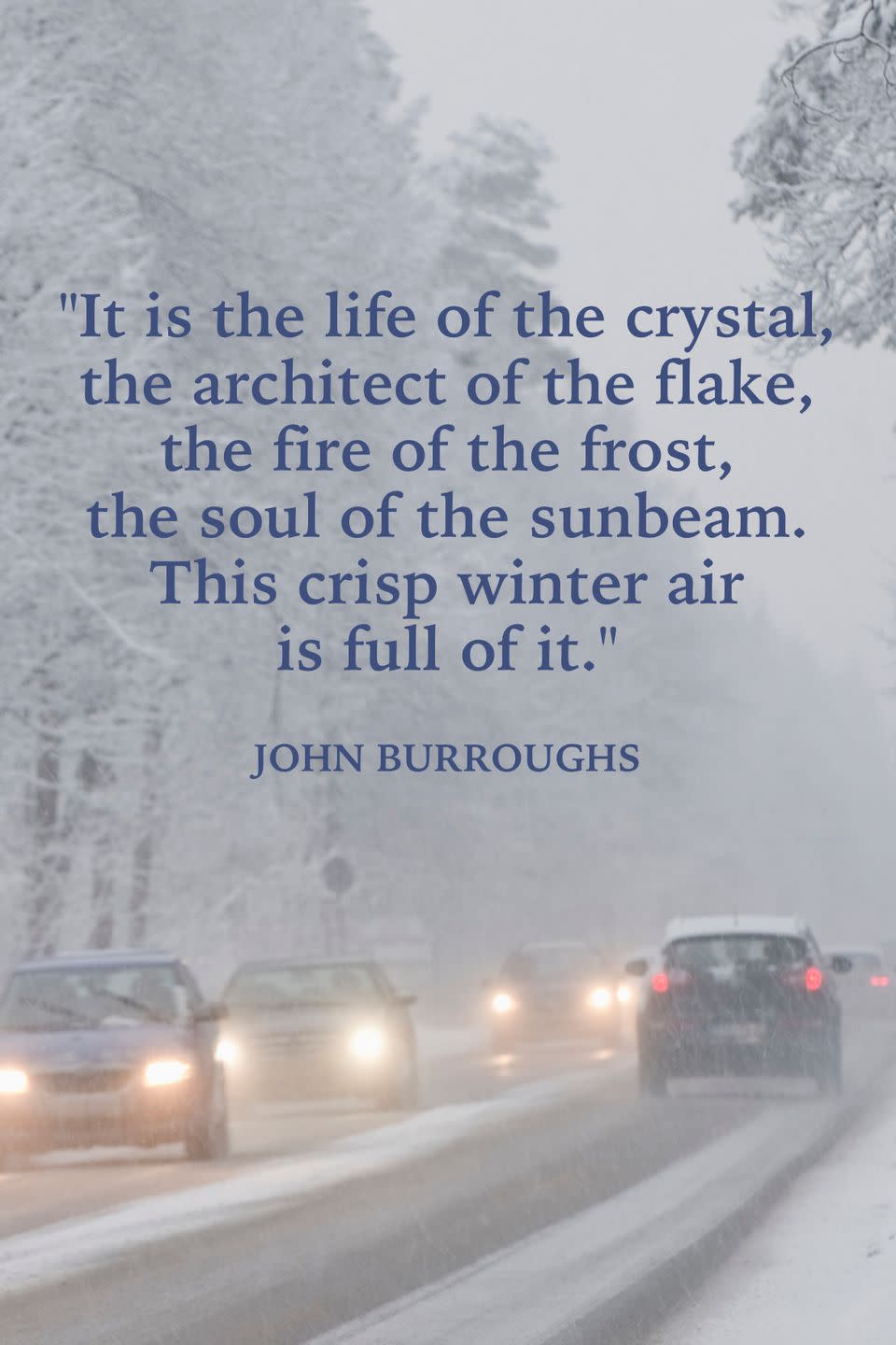 <p>"It is the life of the crystal, the architect of the flake, the fire of the frost, the soul of the sunbeam. This crisp winter air is full of it."</p>