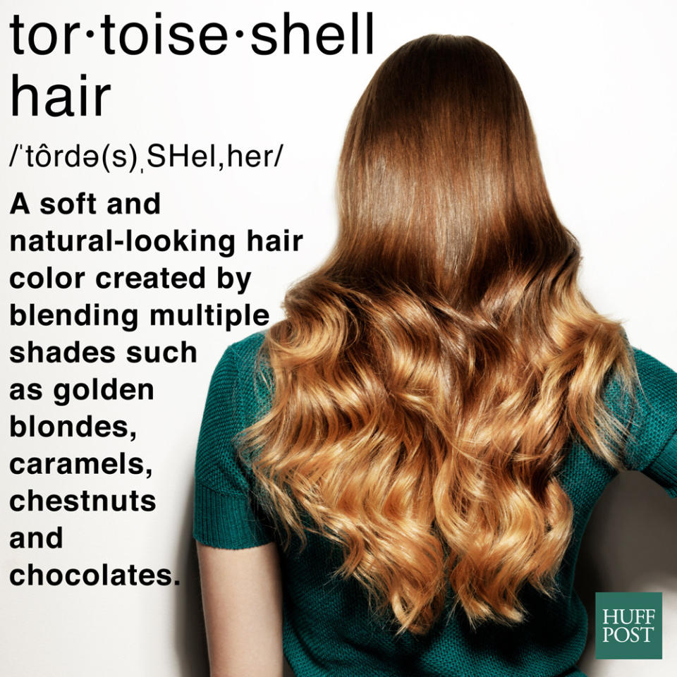 tortoise shell hair