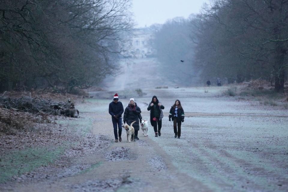 People walking their dogs in a frost-covered Richmond Park during a cold snap in 2020 (PA)