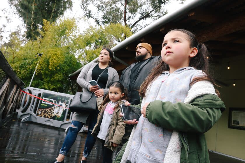 Los Angeles, CA - March 22: Laylah R. looks out onto the elephant exhibit with her family while off from school because of LAUSD's three-day strike at the Los Angeles Zoo on Wednesday, March 22, 2023 in Los Angeles, CA. (Dania Maxwell / Los Angeles Times).