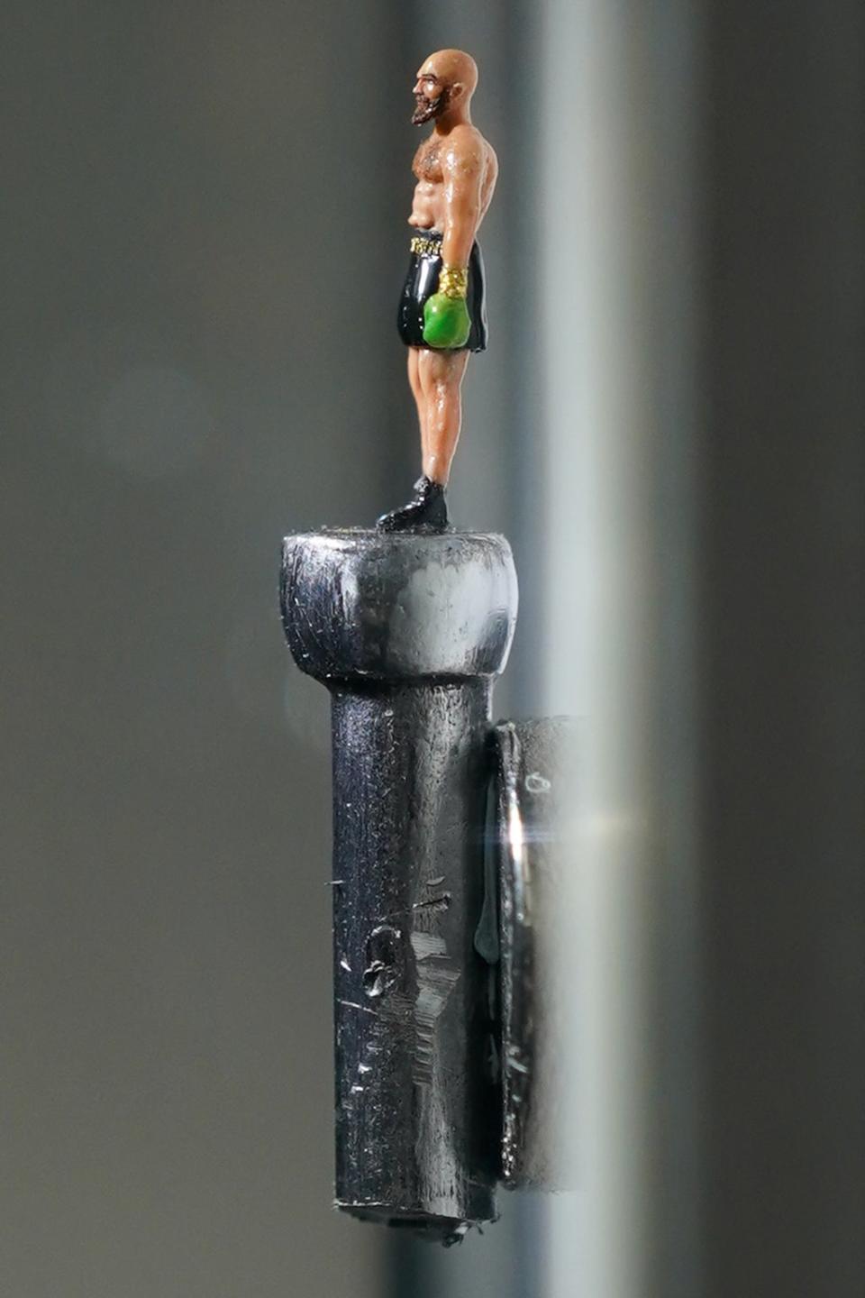 The artwork is displayed on the head of a nail (Jacob King/PA) (PA Wire)