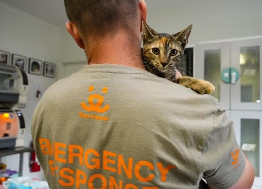 Person from emergency response holding a cat