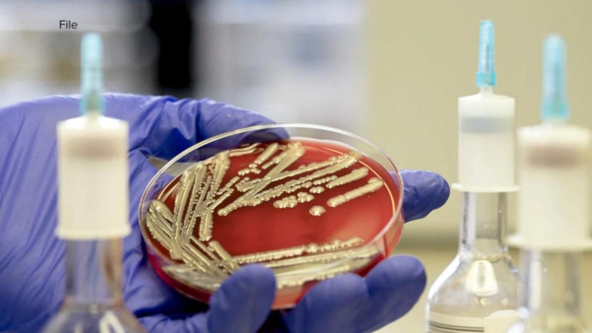 E. coli outbreak cases rise