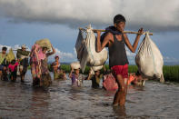 <p>Thousands of Rohingya refugees fleeing from Myanmar walk along a muddy rice field after crossing the border in Palang Khali, Cox’s Bazar, Bangladesh, on October 9, 2017. (Photograph by Paula Bronstein/Getty Images) </p>