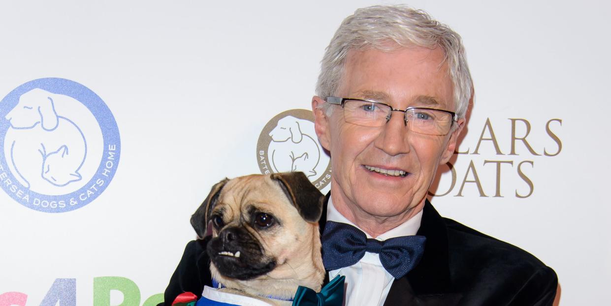 paul ogrady attends the collars and coats ball 2017 at battersea evolution on november 2, 2017 in london