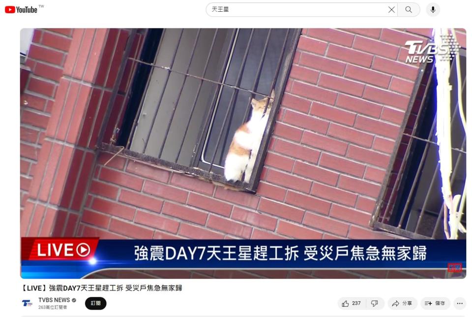 有媒體鏡頭拍到貓咪卡在鐵窗，引發熱議。（翻攝自TVBS YouTube）