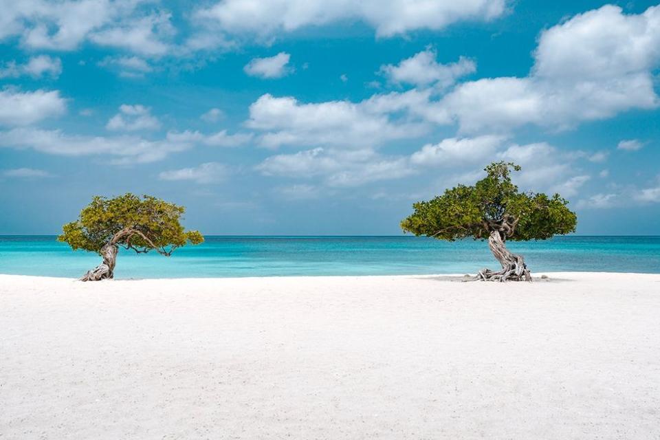 Aruba's world famous Eagle Beach