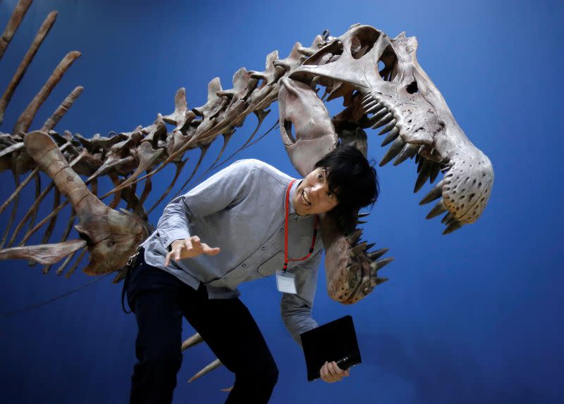 FILE PHOTO: A reporter poses with a Spinosaurus's skeleton replica during a preparation and media preview for the Dinosaur EXPO at the National Museum of Nature and Science in Tokyo