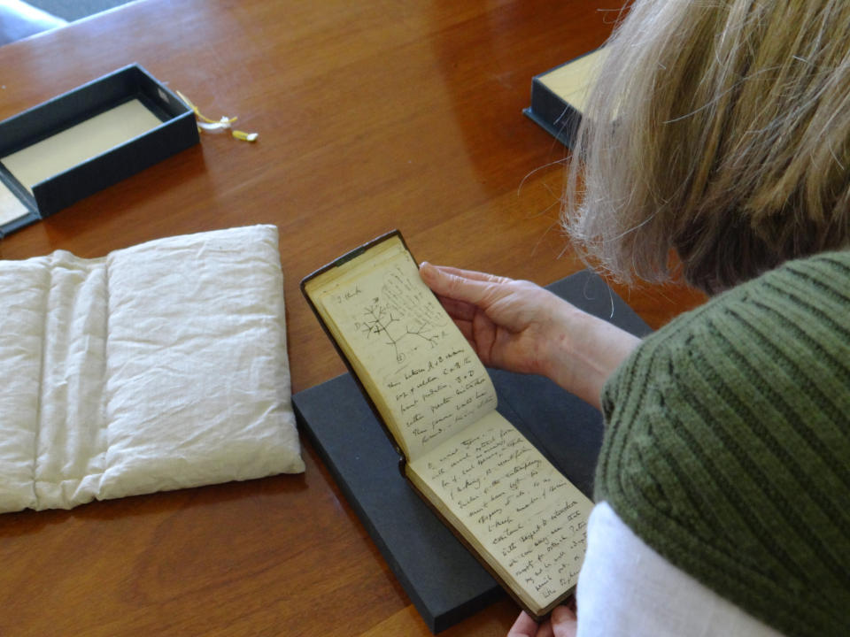 In this photo provided by Cambridge University Library on Tuesday, April 5, 2022, Dr Jessica Gardner looks at the Tree of Life Sketch in one of naturalist Charles Darwin's notbeook which have recently been returned after going missing in 2001, in Cambridge, England. Two of naturalist Charles Darwin’s notebooks that were reported stolen from Cambridge University's library have been returned, two decades after they disappeared. (Stuart Roberts/Cambridge University Library via AP)