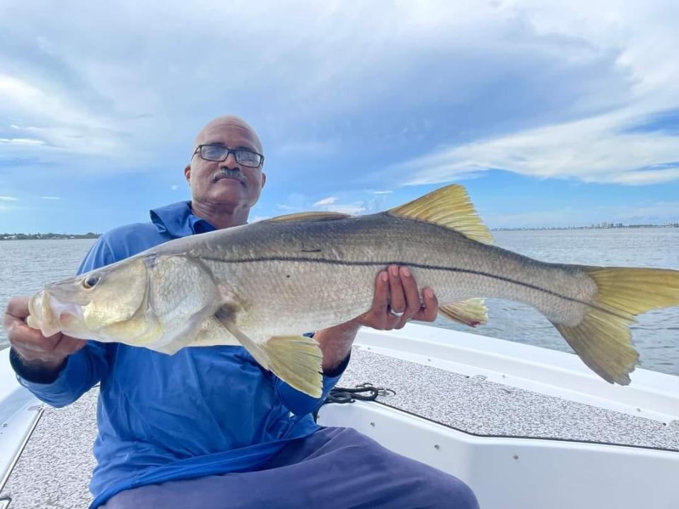 Snook like this one caught and released on sept. 19, 2022 have been common during the mullet run.