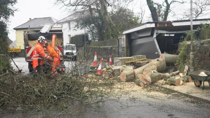 Lumberjacks clear a tree blocking a road in Plymouth