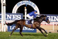 Horse Racing - Dubai World Cup - Meydan Racecourse, Dubai - 25/3/17 - William Buick rides Jack Hobbs to the finish line to win the eighth race. REUTERS/Stringer