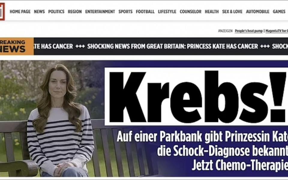 Bild's website