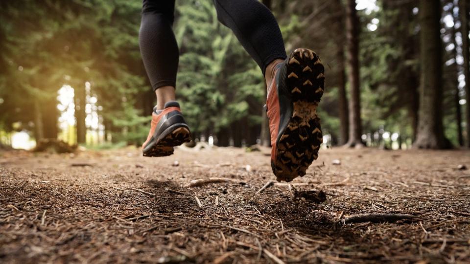 Close-up of runner's feet on forest trail