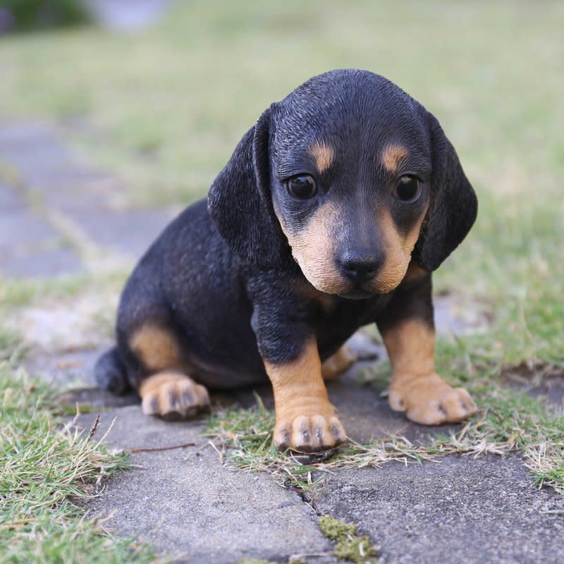 3) Dachshund Puppy Statue