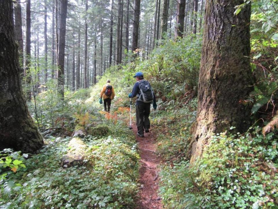 Craig Romano recommends hiking the Porter Trail in the Capitol State Forest.