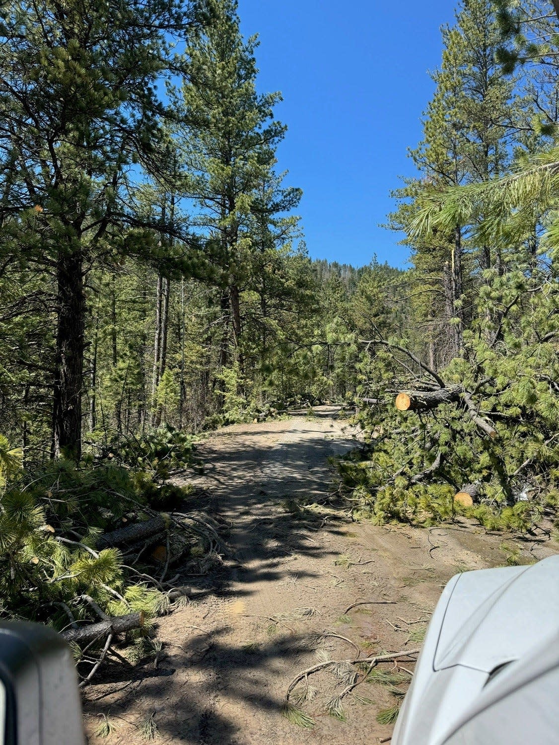 Damage on Logging Creek Road