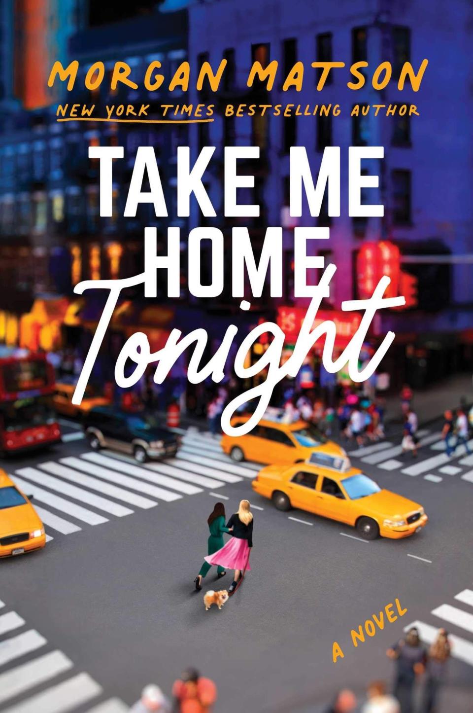 24) <i>Take Me Home Tonight</i>, by Morgan Matson