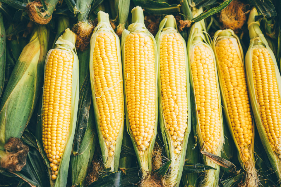 玉米用水煮，熱量低又健康，可以拿來當作主要澱粉來源。（圖／Getty Images）