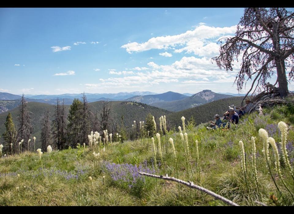 Enjoying an alpine picnic lunch