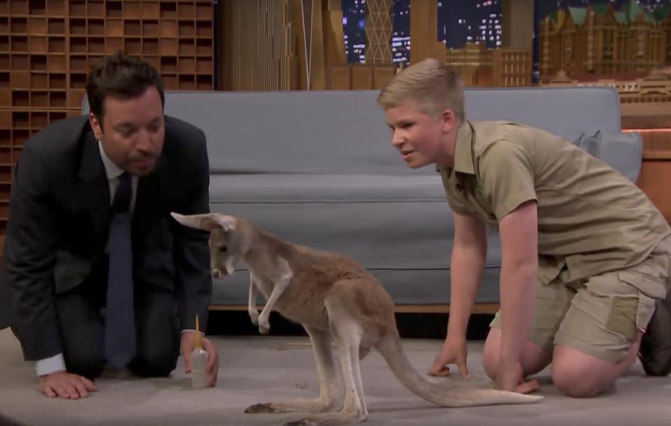 The host hilariously tries to introduce himself to the joey kangaroo but doesn't do it very well. Source: The Tonight Show