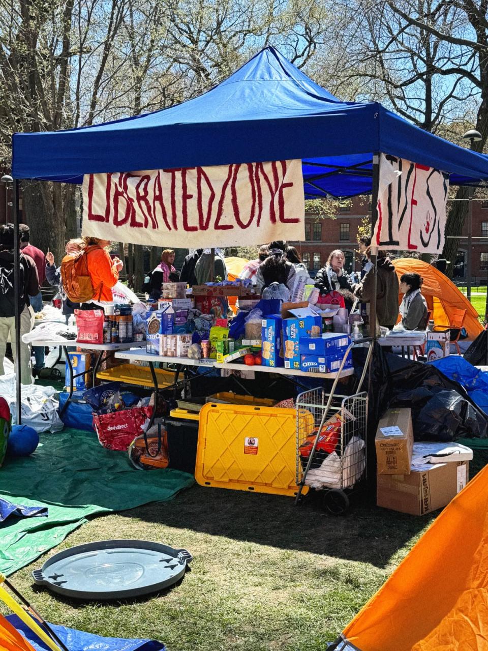 Harvard Gaza protest