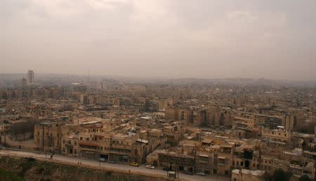 A general view shows Aleppo city as seen from Aleppo's historic citadel, Syria December 11, 2009. REUTERS/Khalil Ashawi