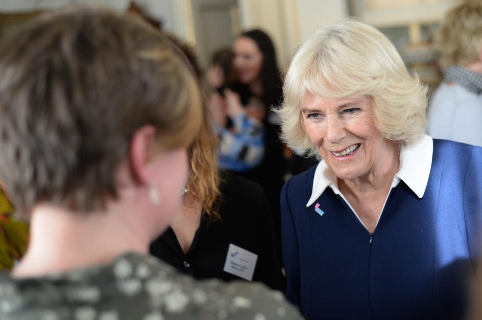 LONDON, ENGLAND - FEBRUARY 12: Camilla, Duchess of Cornwall hosts a reception to acknowledge the 15th anniversary of domestic abuse charity SafeLives at Clarence House on February 12, 2020 in London, England.  (Photo by Eamonn M. McCormack/Getty Images)