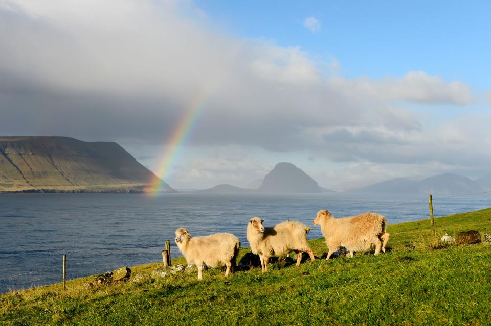 Faroe Islands