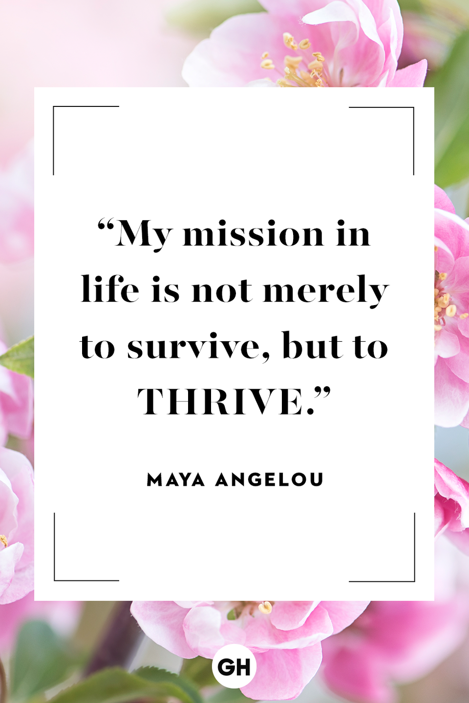 <p>My mission in life is not merely to survive, but to thrive.</p>