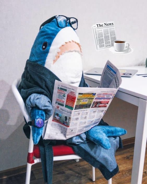 BLÅHAJ鯊魚填充玩具，這幾年爆紅的鯊魚，網友認為他呆萌的外表加上柔軟又舒適的觸感讓人直呼超好抱。