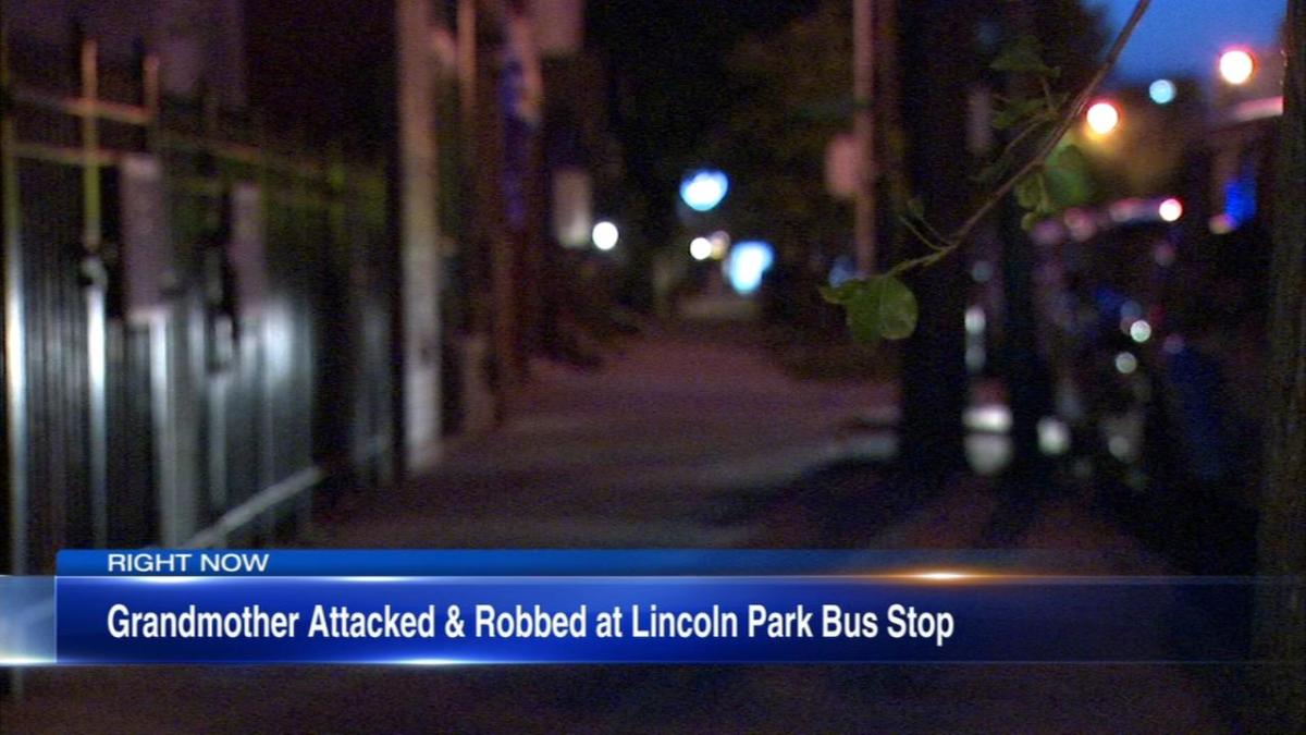 Grandmother Pistol Whipped By Robbers While Waiting For Bus In Lincoln Park 4349